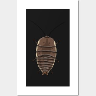 8bit pixel Botany Bay Cockroach (Polyzosteria limbata) Posters and Art